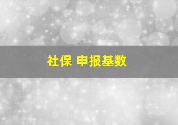 社保 申报基数